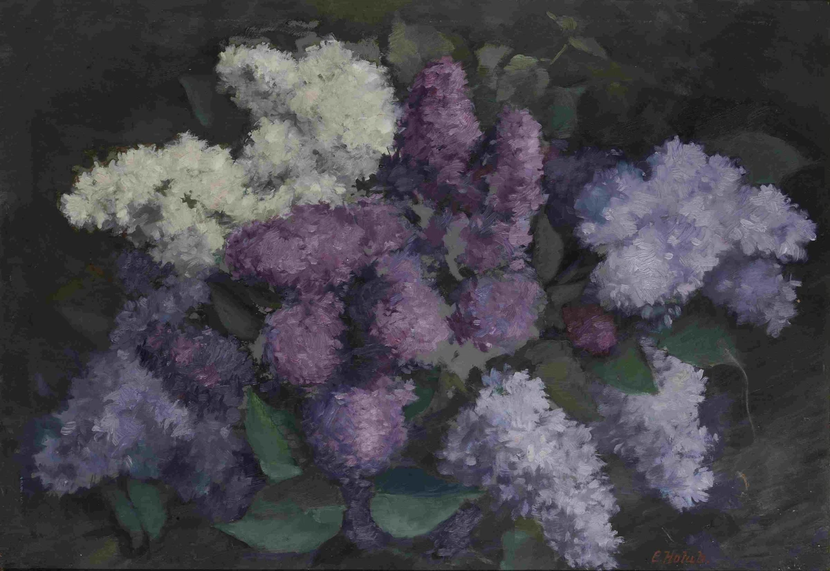 Emil Holub, Kytice bezu, 1920, ZČG