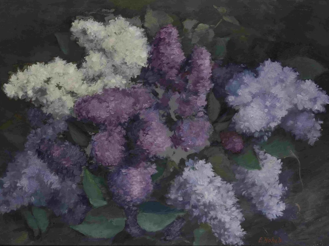 Emil Holub, Kytice bezu, 1920, ZČG
